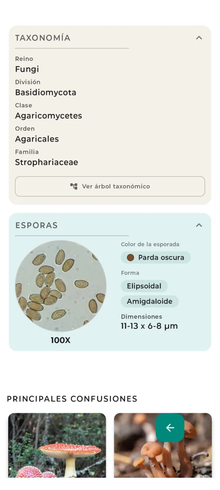 Ficha de especie: taxonomía y esporas