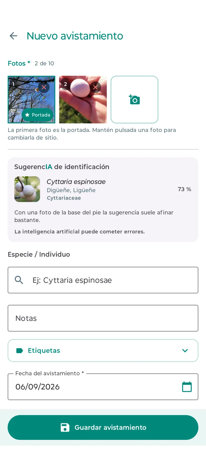 Sugerencia de identificación de la IA de Fungapp sobre la foto de un avistamiento