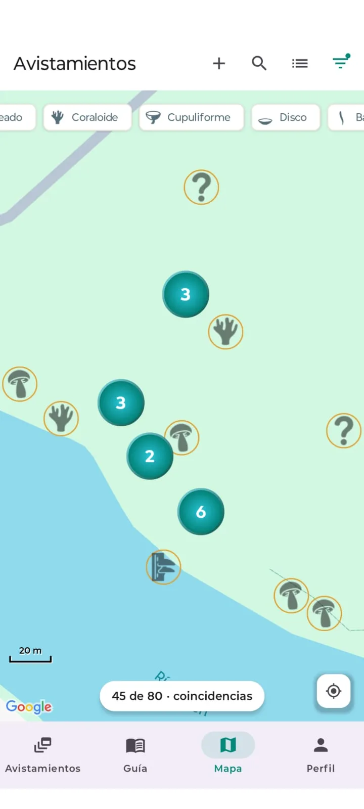 Mapa de avistamientos en Fungapp